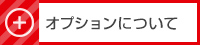 オプションについて